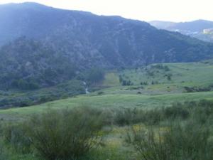 منظر خلاب بضواحي بلدية  دراع قبيلة  10