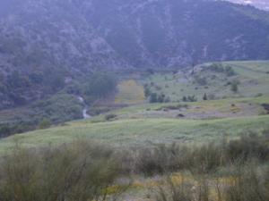 منظر خلاب بضواحي بلدية  دراع قبيلة  11