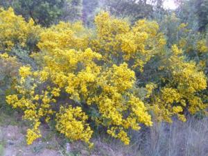 منظر خلاب بضواحي بلدية  دراع قبيلة  12