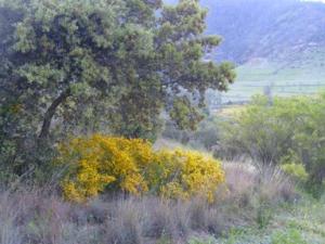 منظر خلاب بضواحي بلدية  دراع قبيلة  13