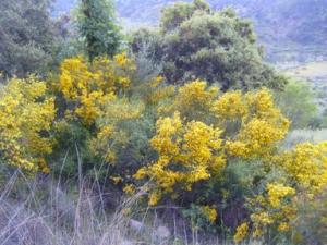 منظر خلاب بضواحي بلدية  دراع قبيلة  16