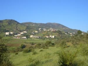 منظر خلاب بضواحي بلدية  دراع قبيلة  19