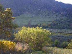 منظر خلاب بضواحي بلدية  دراع قبيلة  20