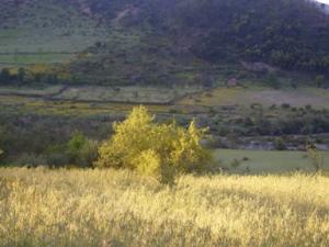 منظر خلاب بضواحي بلدية  دراع قبيلة  21