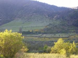 منظر خلاب بضواحي بلدية  دراع قبيلة  22