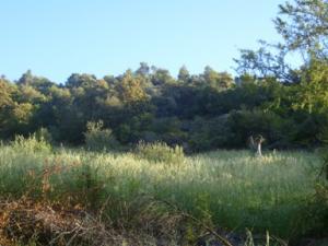 منظر خلاب بضواحي بلدية  دراع قبيلة  23