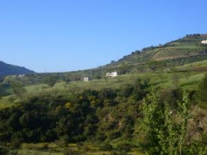 منظر خلاب بضواحي بلدية  دراع قبيلة  26