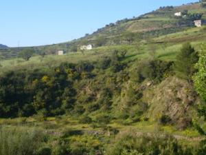 منظر خلاب بضواحي بلدية  دراع قبيلة  27