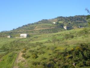 منظر خلاب بضواحي بلدية  دراع قبيلة  32