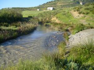 منظر خلاب بضواحي بلدية  دراع قبيلة  35