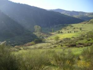 منظر خلاب بضواحي بلدية  دراع قبيلة  38