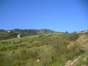 منظر خلاب بضواحي بلدية  دراع قبيلة  39