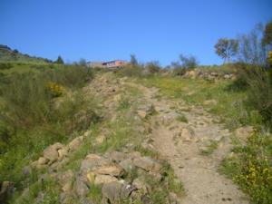 منظر خلاب بضواحي بلدية  دراع قبيلة  40