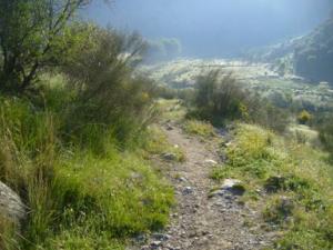 منظر خلاب بضواحي بلدية  دراع قبيلة  41