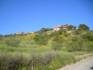 منظر خلاب بضواحي بلدية  دراع قبيلة  44