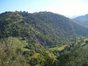 منظر خلاب بضواحي بلدية  دراع قبيلة  47