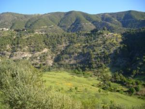 منظر خلاب بضواحي بلدية  دراع قبيلة  48