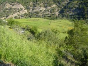 منظر خلاب بضواحي بلدية  دراع قبيلة  49