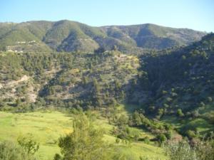 منظر خلاب بضواحي بلدية  دراع قبيلة  50