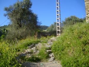 منظر خلاب بضواحي بلدية  دراع قبيلة  52