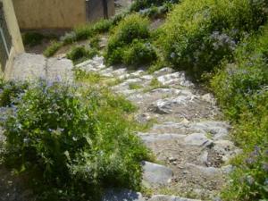 منظر خلاب بضواحي بلدية  دراع قبيلة  53