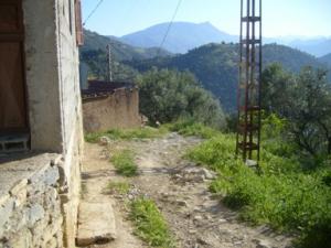 منظر من ضواحي بلدية  دراع قبيلة  1