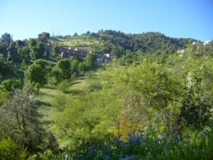 منظر من ضواحي بلدية  دراع قبيلة  2