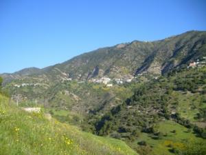 منظر من ضواحي بلدية  دراع قبيلة  5