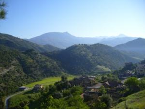 منظر من ضواحي بلدية  دراع قبيلة  8