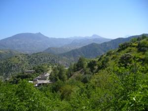 صورة من ضواحي بلدية  دراع قبيلة