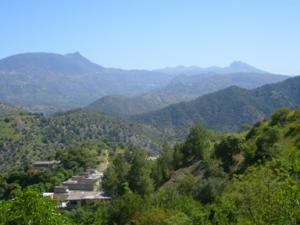 صورة من ضواحي بلدية  دراع قبيلة  1