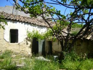 صورة من ضواحي بلدية  دراع قبيلة  5