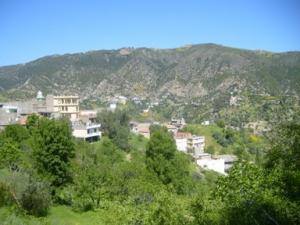 صورة من ضواحي بلدية  دراع قبيلة  9