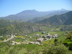 صورة من ضواحي بلدية  دراع قبيلة  11