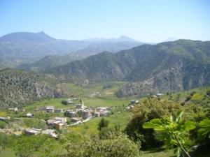 صورة من ضواحي بلدية  دراع قبيلة  12