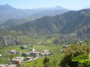 صورة من ضواحي بلدية  دراع قبيلة  15