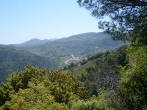 صورة من ضواحي بلدية  دراع قبيلة  16