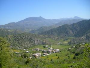 صورة من ضواحي بلدية  دراع قبيلة  23