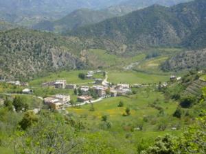 صورة من ضواحي بلدية  دراع قبيلة  24