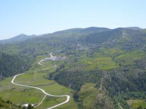 منظر من ضواحي  دراع قبيلة  6