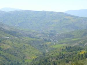 منظر من ضواحي  دراع قبيلة  8