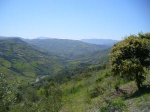 منظر من ضواحي  دراع قبيلة  9