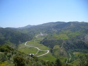 منظر من ضواحي  دراع قبيلة  10