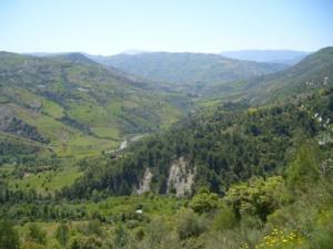 منظر من ضواحي  دراع قبيلة  13