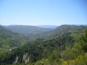 منظر من ضواحي  دراع قبيلة  15