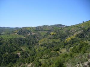 منظر من ضواحي  دراع قبيلة  17