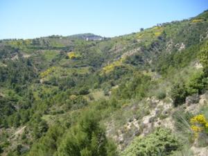 منظر من ضواحي  دراع قبيلة  19