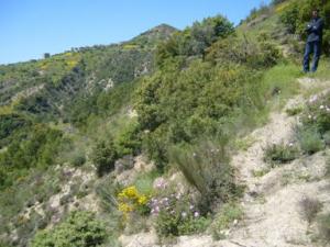 منظر من ضواحي  دراع قبيلة  20