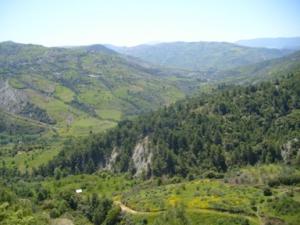 منظر من ضواحي  دراع قبيلة  23