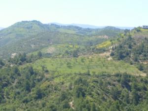 منظر من ضواحي  دراع قبيلة  28